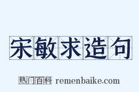 宋敏求造句是什么意思的图片
